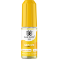 Bar Juice 5000 - NRG Ice