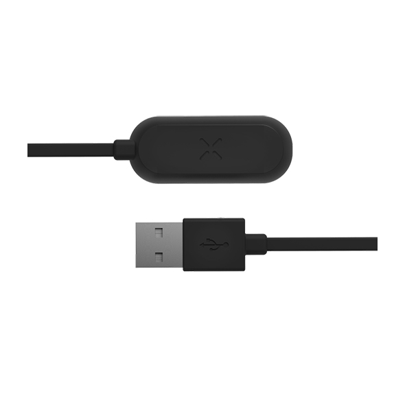 PAX - Mini Charger