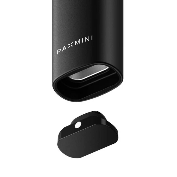 PAX Mini 2