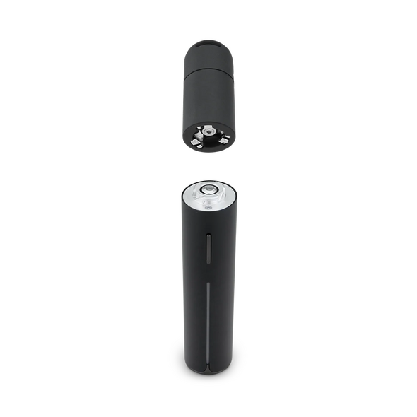 Puffco Pivot